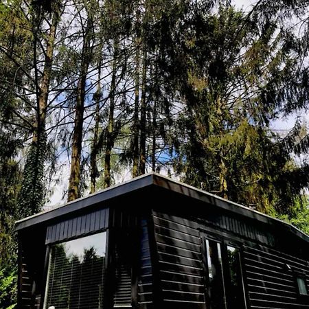 Heerlijk Chalet Midden In De Natuur Putten Extérieur photo